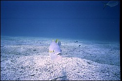 5941_17.jpg