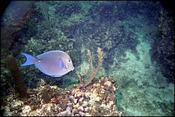 5942_06a.jpg
