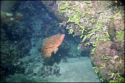 5942_09a.jpg