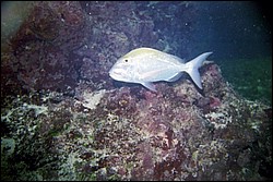 5942_10a.jpg