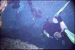 5942_12a.jpg