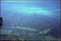 5942_17a.jpg