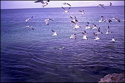 5942_18a.jpg