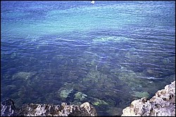 5942_19a.jpg