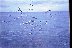 5942_25a.jpg