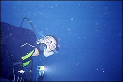 5943_01a.jpg