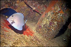 5943_04a.jpg