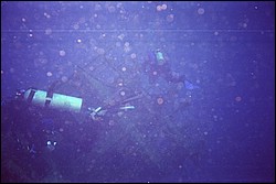 5943_05a.jpg