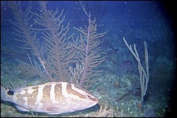 5943_10a.jpg