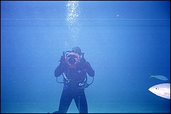 5943_13a.jpg