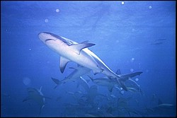 5943_23a.jpg