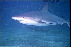 5943_24a.jpg