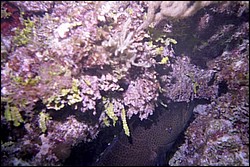 5944_05a.jpg