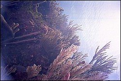 5944_17a.jpg