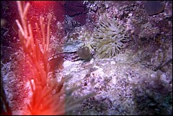 5944_18a.jpg