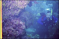 5944_20a.jpg