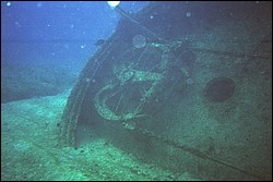 5945_00b.jpg
