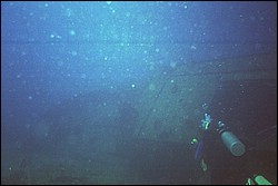 5945_00xa.jpg