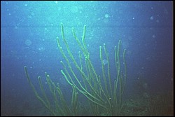 5945_07a.jpg