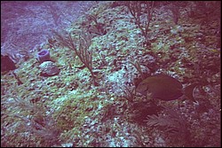 5945_08a.jpg
