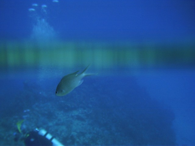IMAG0004.JPG