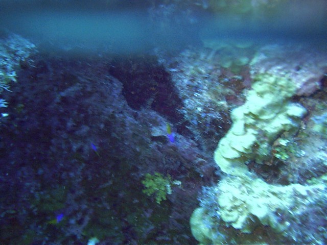 IMAG0007.JPG