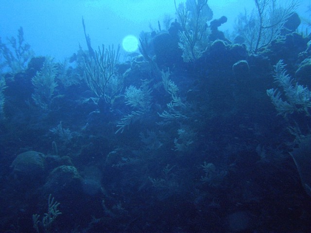 IMAG0008.JPG