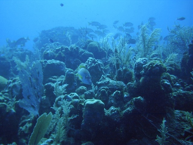 IMAG0009.JPG