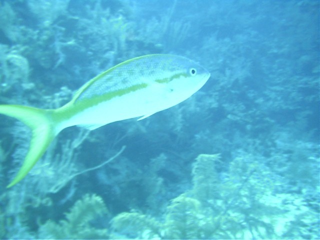 IMAG0020.JPG