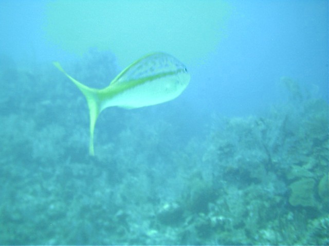 IMAG0021.JPG