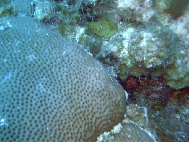 IMAG0024.JPG
