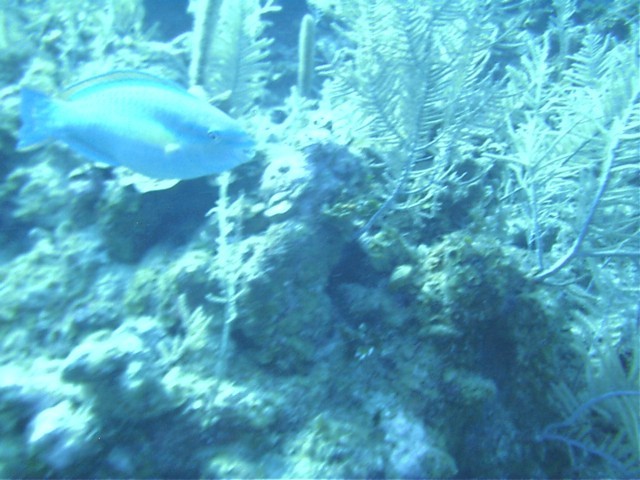 IMAG0026.JPG