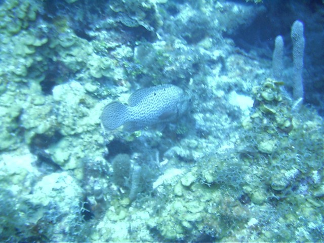 IMAG0030.JPG