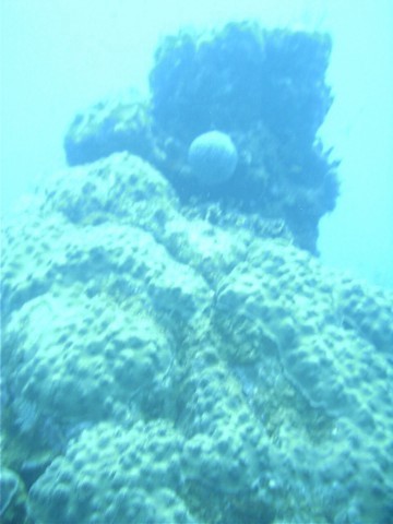 IMAG0066.JPG