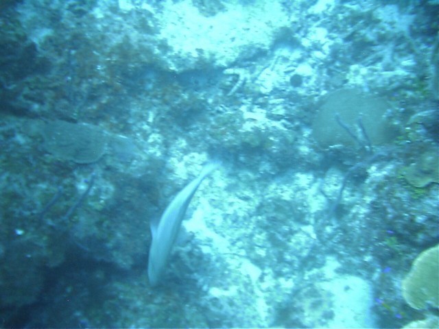 IMAG0067.JPG