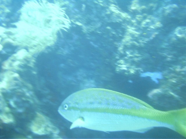 IMAG0075.JPG