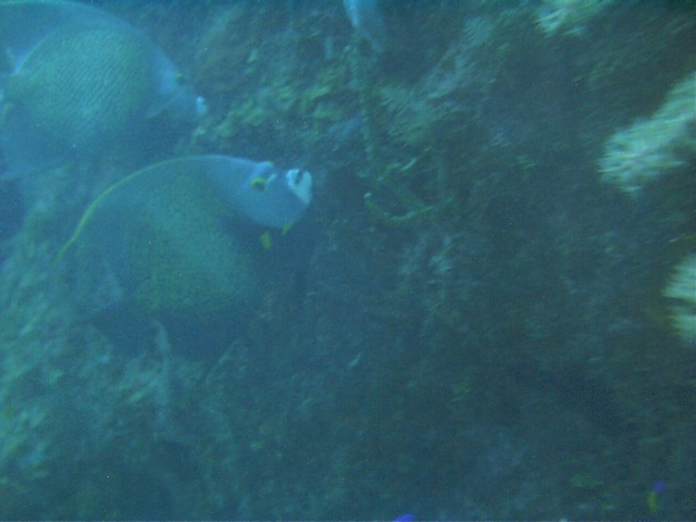IMAG0076.JPG