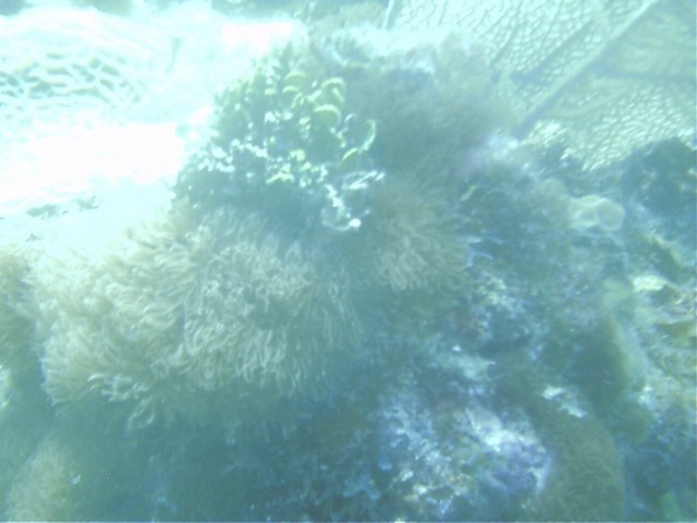IMAG0080.JPG