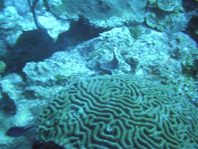 IMAG0088.JPG