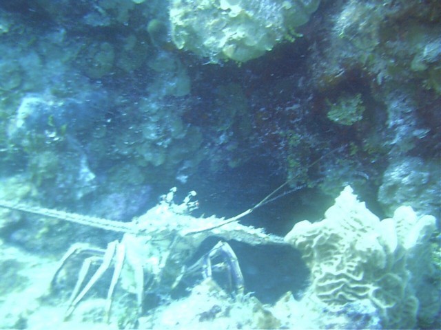 IMAG0095.JPG