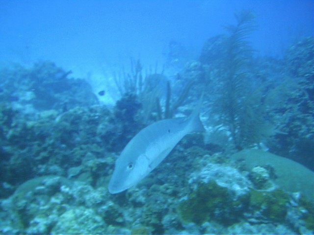 IMAG0098.JPG