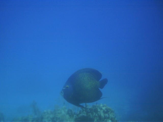IMAG0105.JPG