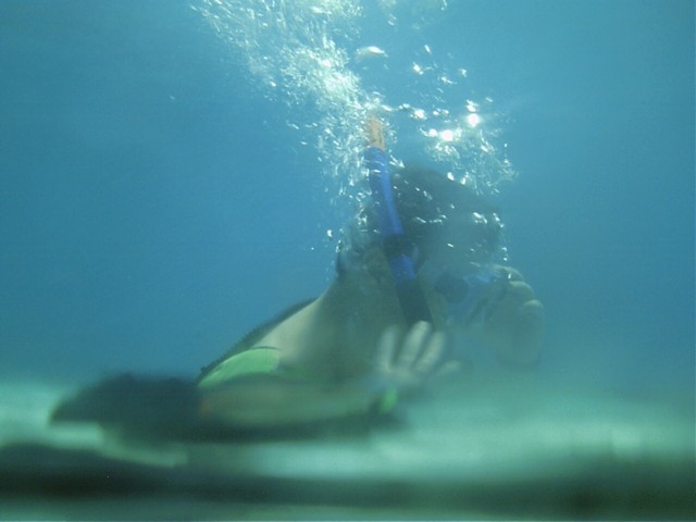 IMAG0106.JPG