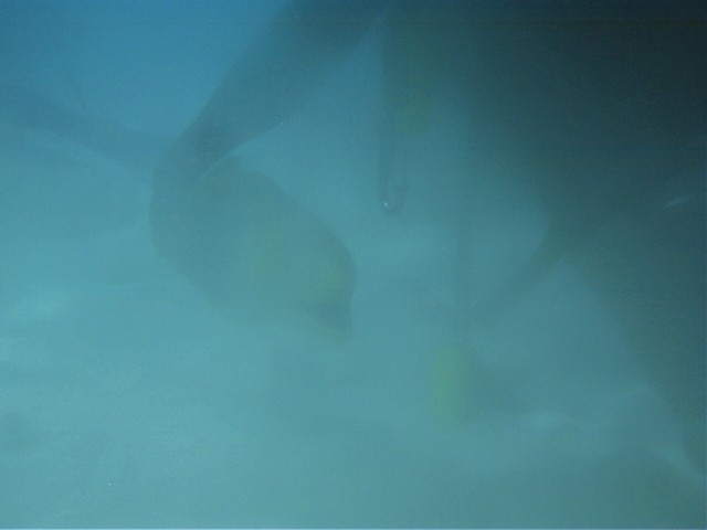 IMAG0114.JPG