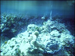 IMAG0006.JPG