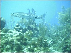 IMAG0014.JPG