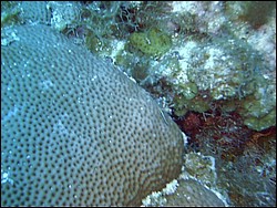 IMAG0024.JPG
