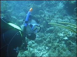 IMAG0068.JPG