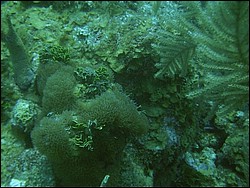 IMAG0069.JPG