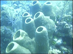 IMAG0072.JPG